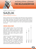 Fibi Enlightens: SAZLIK